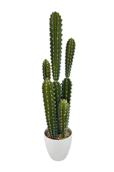 Nettenevime Yapay Kaktüs Ağacı Sütun Kaktüsü (Cereus peruvianus) - Beyaz Saks...
