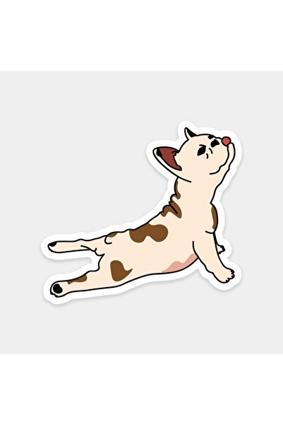 The Sticker Story. Yoga Pug Dog Sticker