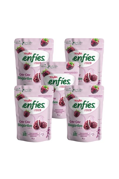 Yayla Enfies Freeze Dried Blackberries 15 g X5