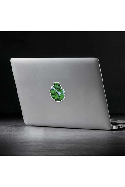 The Sticker Story. Furious Power Bear Sticker