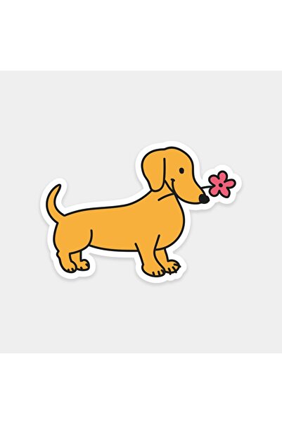 The Sticker Story. Floral Dachshund Sticker