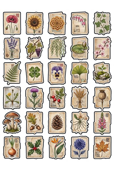 Store 30 Pieces Vintage Botanical Flower Sticker Set - for Notebook, Agenda, ...