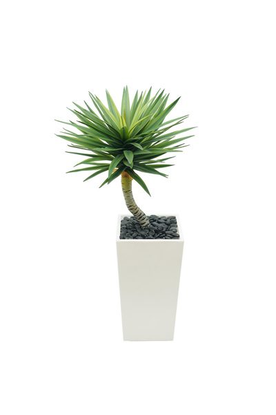 MirageBotanics شجرة دراسينا اصطناعية بطول 90 سم، نبات مزيف مع وعاء أبيض لتزيي...