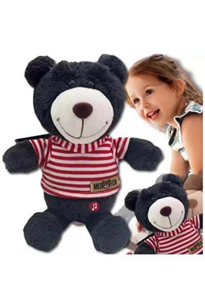 NiceKids Plus interactiv canta vorbeste si danseaza 22x10cm Funny Bear