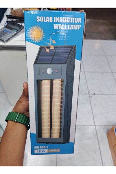 Generic Solar Wall Light