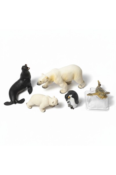 TUFY TOYS KUTUP VE DENİZ CANLILARI FİGÜR SETİ- MODEL HAYVAN OYUNCAK