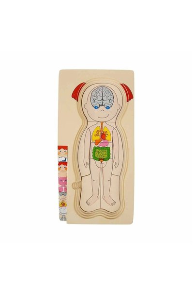 mybedesten Human Body Wooden Puzzle
