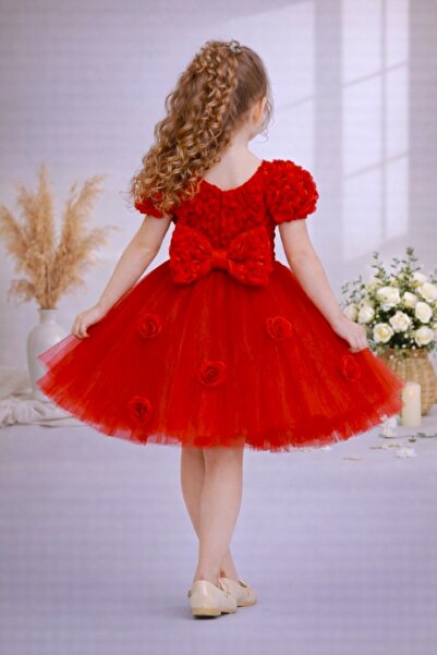 DeKuBaby Φόρεμα για κορίτσια με λεπτομέρειες από τούλι και τριαντάφυλλα - Γεν...