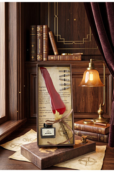 Meya design Decorative Feather Pen Set Dip Pen Ink Writing Set Special Boxed ...