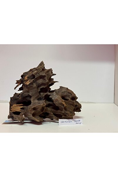 Meç Dragon Wood (No:30038) [26x15x20h]