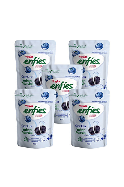 Yayla Enfies Freeze Dried Blueberries 15 g X5