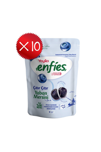 Yayla Enfies Freeze Dried Blueberries 15 g X10