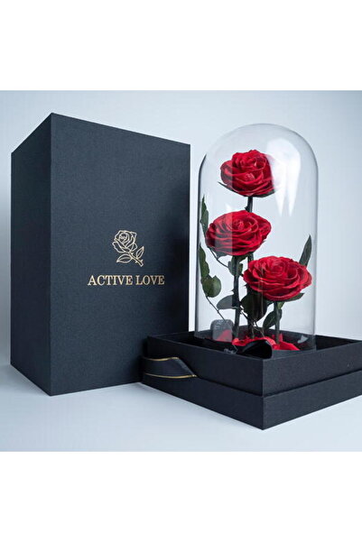 Own brand Red Infinity Roses