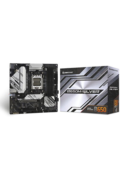 Biostar Placă de bază B650M-SILVER