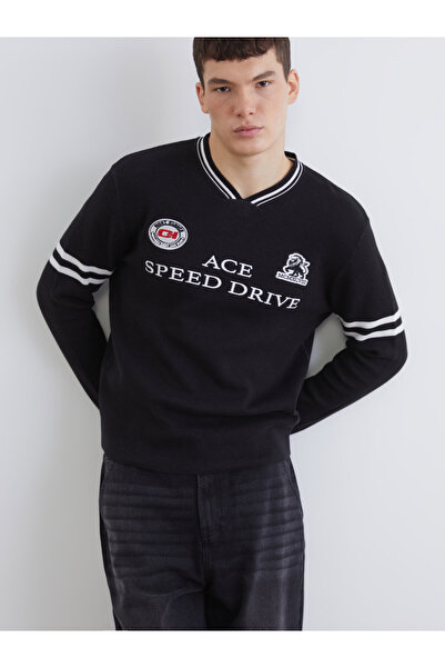 LC Waikiki V Neck Printed Men's Knitwear Sweater