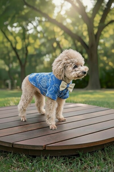 PATİLİNKA Cat-Dog 100% Cotton Muslin Summer Dress - Shirt - Gilet - T-Shirt -...