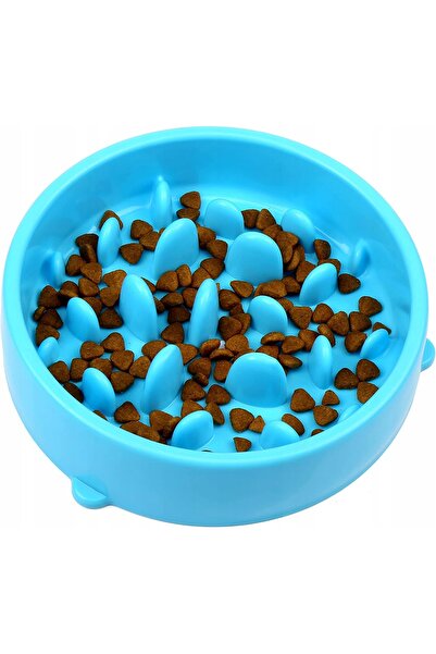 OEM Bol pentru hrănirea câinilor, Plastic, 19.5cm, Albastru