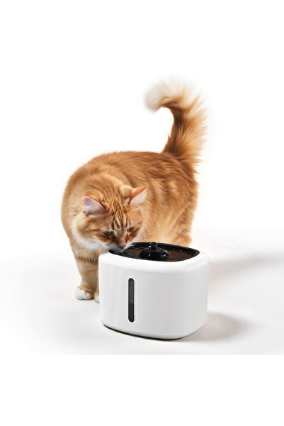 Z Store Μεγάλης χωρητικότητας 2.5L ποτίστρα κατοικίδιων με τροφοδοσία USB