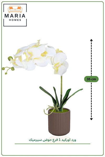 MARIA HOMES 35CM Artificial White Orchid Plant in Brown Ribbed Ceramic Pot | ...