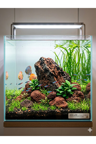 ECD Doğaltaş Lava Kaya Set Akvaryum Bahçe Dekorasyon Süsü 1 Adet 10-15 cm 7 A...