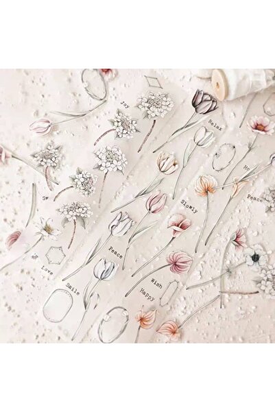 İthal K25-JP 90εκ. Ταινία Slowly pet