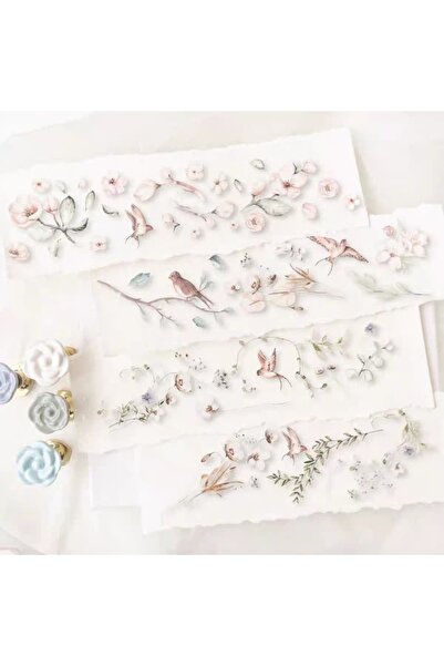 İthal L19-JP 100cm Κάνε τον καλύτερό σου εαυτό ταινία για κατοικίδια