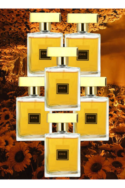 FANCY COLLECTION 6 قطع من العطور الأنيقة للنساء 100 مل