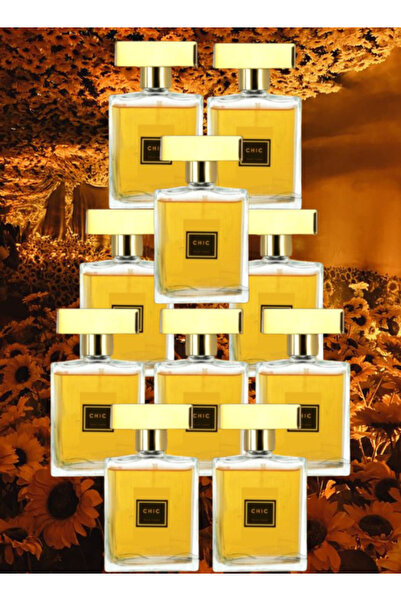 FANCY COLLECTION 10 قطع عطر شيك للنساء 100 مل