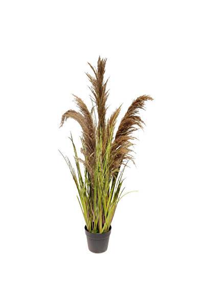MirageBotanics عشب البامباس الطبيعي بطول 150 سم، نباتات اصطناعية للديكور الدا...