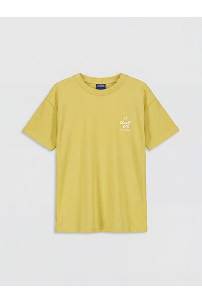 LC Waikiki Tricou pentru băieți LCW Kids, cu imprimeu, cu gât rotund, moale l...