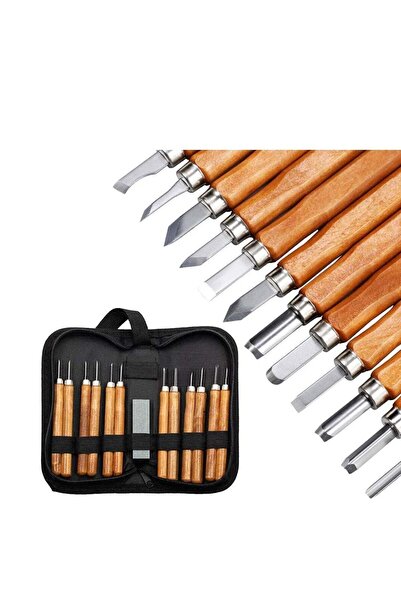 Arabest 12-Pack Precision Engraved Wood Carving Chisel Set with Whetstone,SK2...