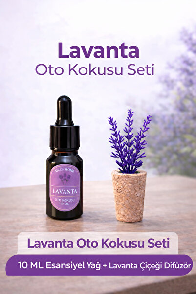 Mi-ÇA HOME Lavanta Oto Kokusu Seti 2’li – 10 ML Esansiyel Yağ + Lavanta Dalı ...