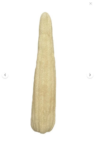 HB Organik Doğal Ürünler Raw Pumpkin Fiber - Natural Scrubbing Pad 60-70 cm