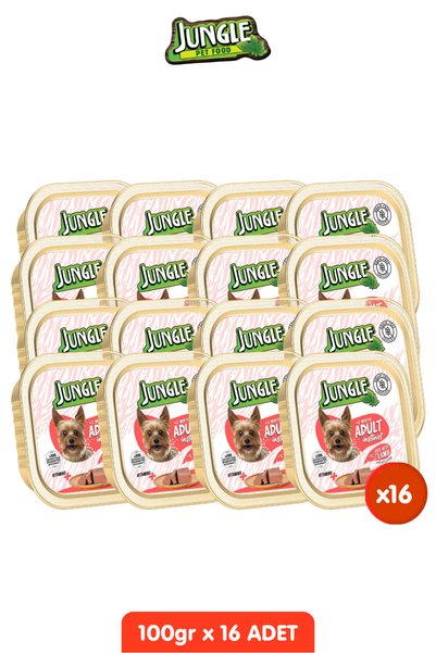 Jungle Köpek 100g Tahılsız Kuzu Etli Pate Alucup - 16 Adet