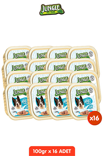 Jungle 16 Adet Tahılsız Somonlu Köpek Yaş Maması Seti - 100gr x 16 Pate Alucup