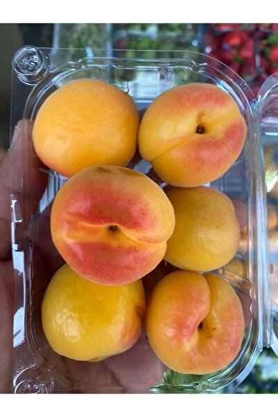 mut incisi zeytin & zeytinyağı Kayısı Net : 2 Kg