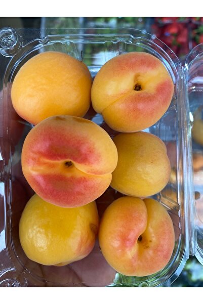 mut incisi zeytin & zeytinyağı Mut Kayısısı Net : 1 Kg
