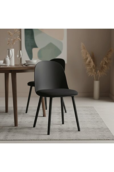 DEC13 A modern black chair with a luxurious design
