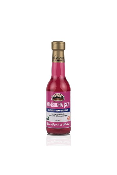 FERMENTE ATÖLYE Ejder Meyveli & Vanilyalı Kombucha (250ml.) Cam Şişede