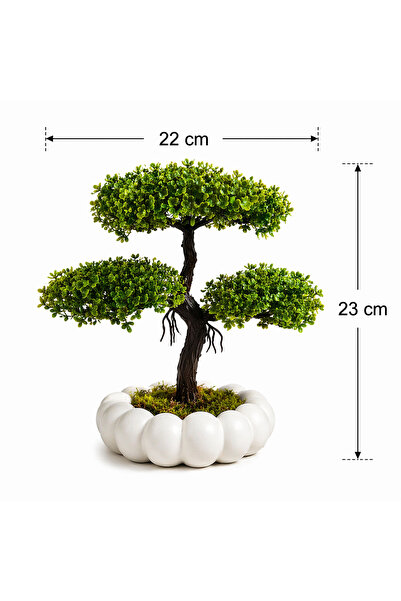 bonsai plastic pots Buy 16.1 inch (41 cm) Bonsai Oval Plastic Pot (Terracotta Color) (set of 3)  online from Nurserylive at lowest price main image 0