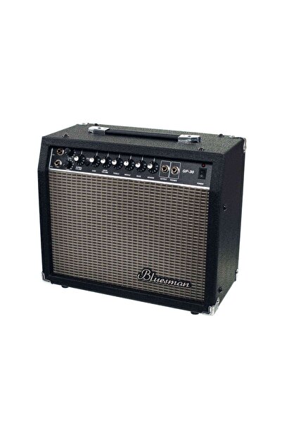 Bluesman GF-30 Elektro Gitar Amfisi - Çift Giriş + Reverb