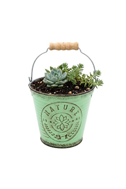 BM GİFT DESİGN Ghiveci pentru flori tip găletușă verde 10,5cm