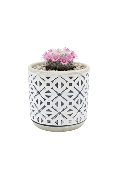 BM GİFT DESİGN Ghiveci ceramică 9x9 cm model triunghiuri