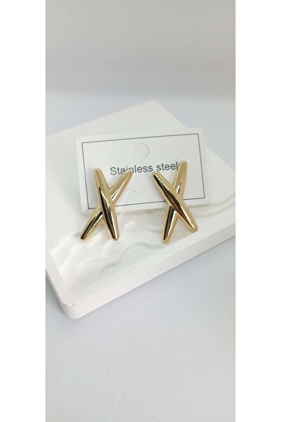ndjewelry أقراط من الفولاذ موديل X