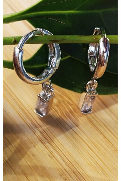 Monalisa Home Silver Color Luxury Flashy Figured Earrings
