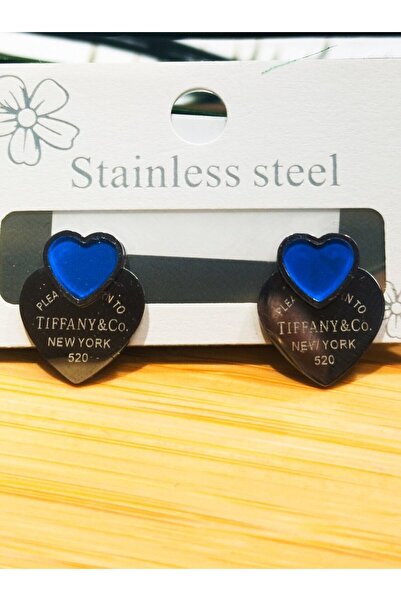 Monalisa Home Steel Figured Luxury Earrings
