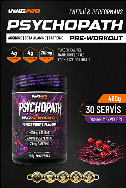vingpro PRE-WORKOUT 480gr 30 SERVİS ORMAN MEYVELERİ