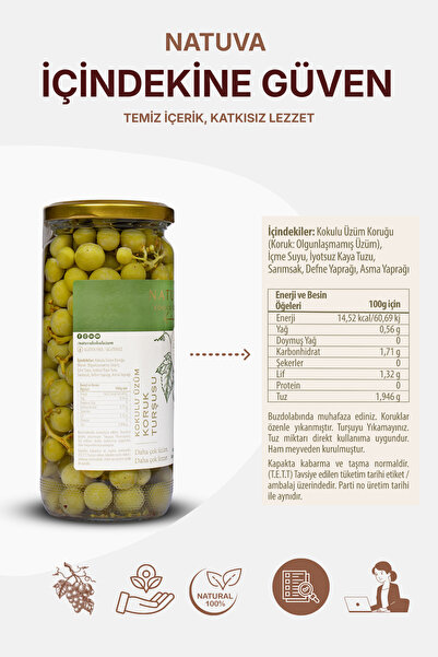 NATUVA Koruk Turşusu 500 G El Yapımı