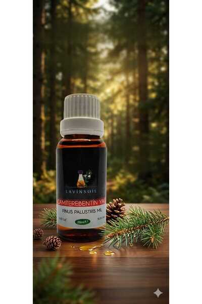 Çam Terebentin Yağı 20 ml (PİNE TURPENTİNE OİL)