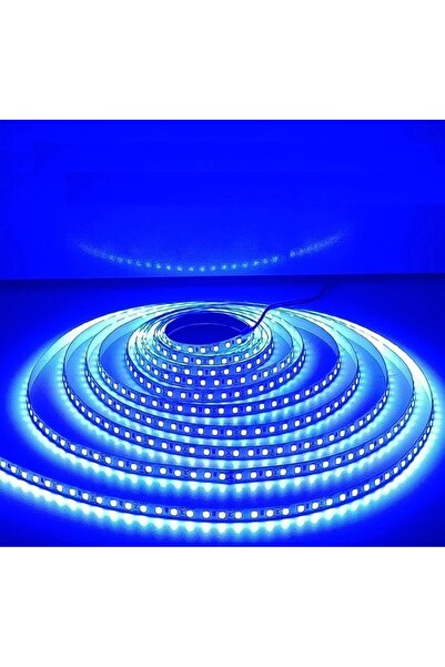 Cata CT-4484 10 Çip Şerit Led İç Mekan (Mavi)